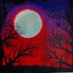 COMPLETED night sky diamond painting